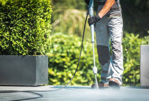 Best Dumpster Area Cleaning  in Cocoa West, FL